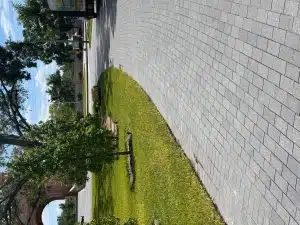 Garden area stone paving